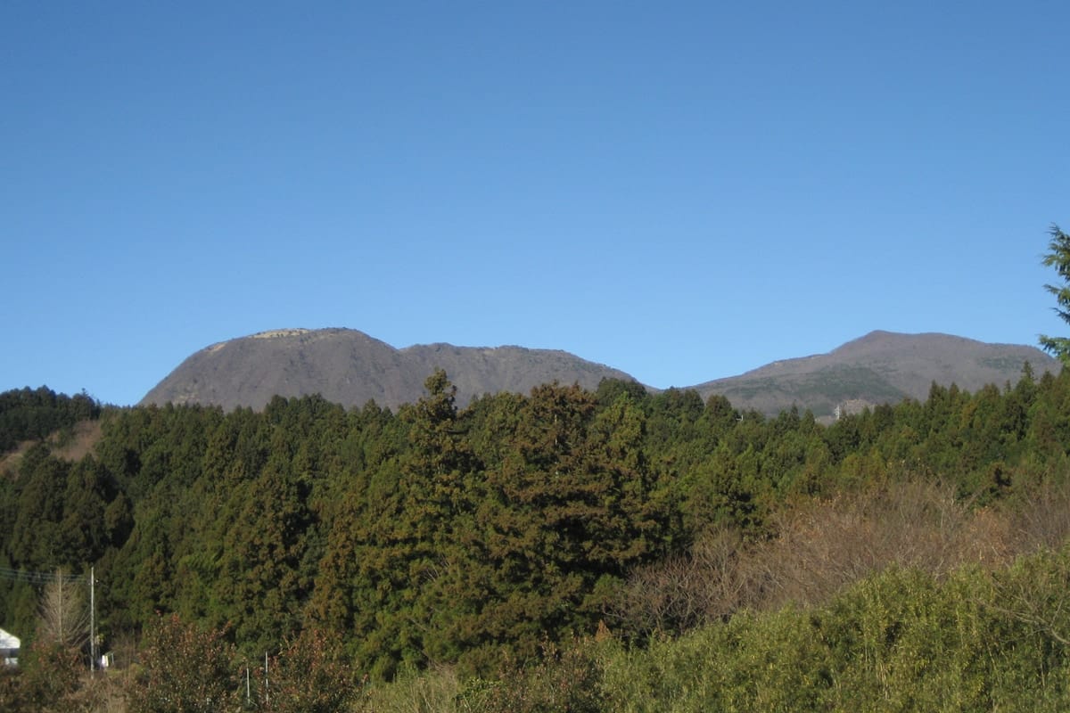 森の後ろには赤城連山のひとつ鍋割山がそびえています