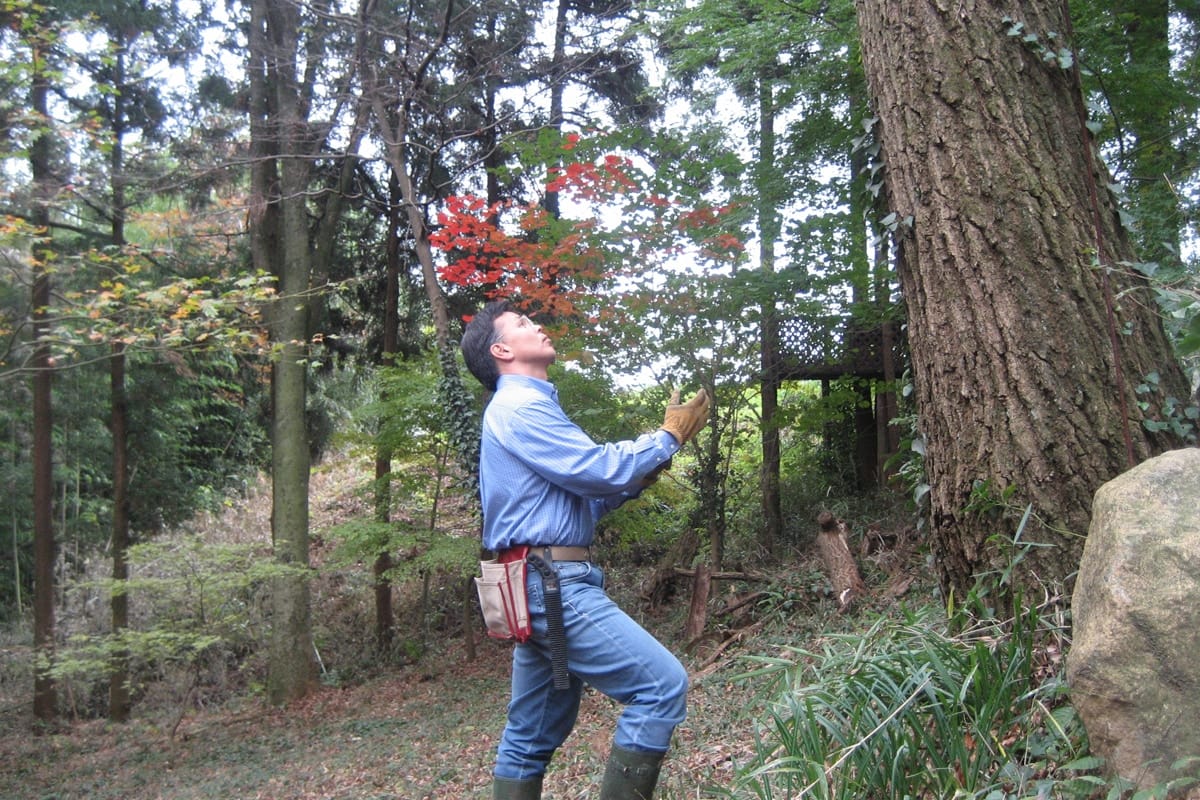 手袋をはめて、さぁ森の手入れだ