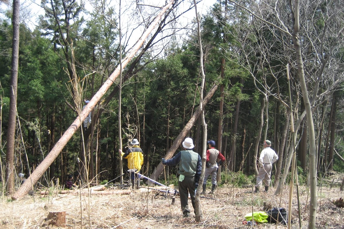 間伐や植林にはボランティアも参加してくれます。相談しながら、慎重に